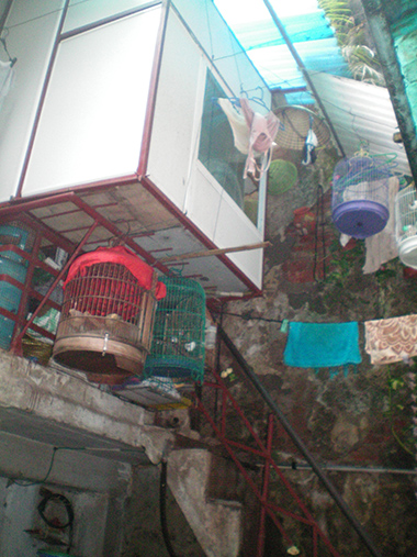 Khổ như dân phố cổ
